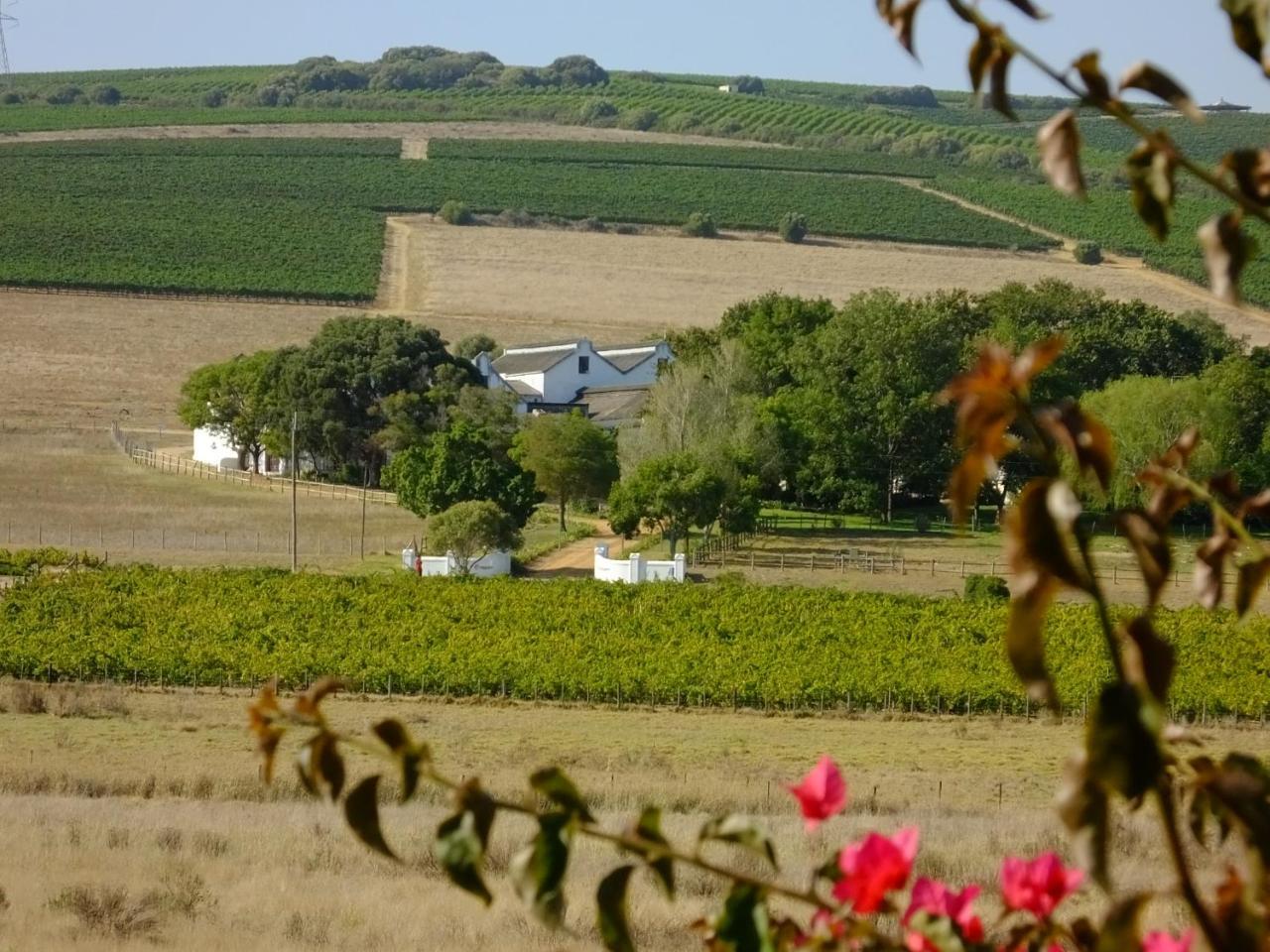 Lauradale Accommodation Stellenbosch Exterior photo